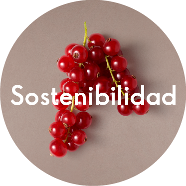 Sostenibilidad